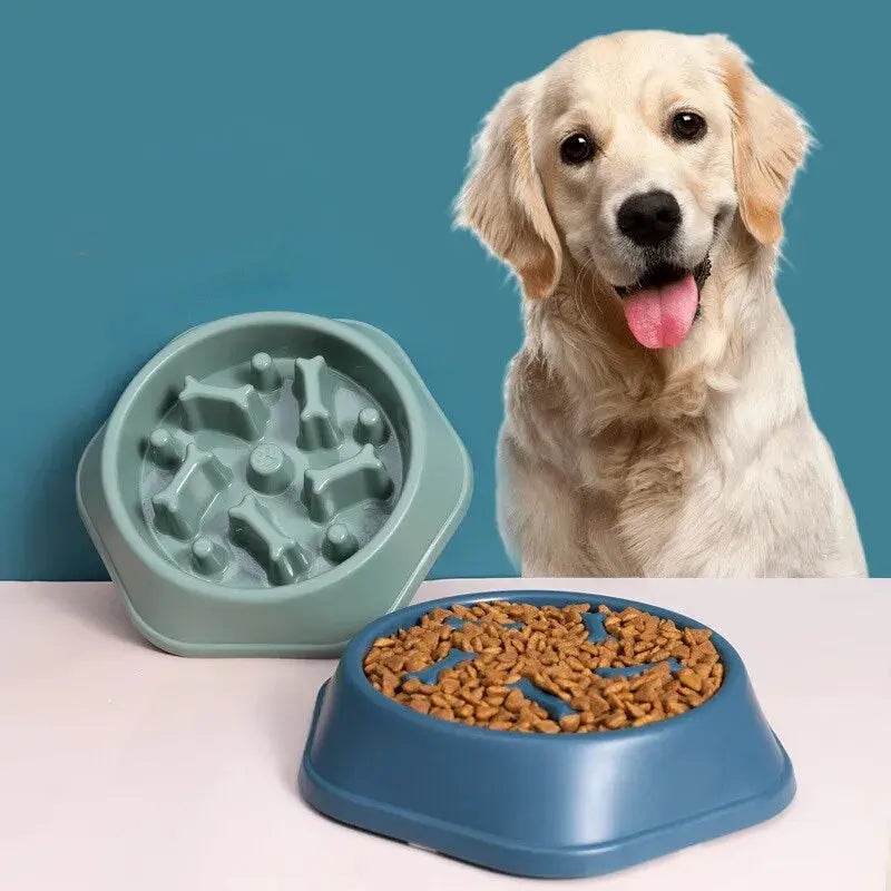 Slow Feeder Pet Bowl My Store 2