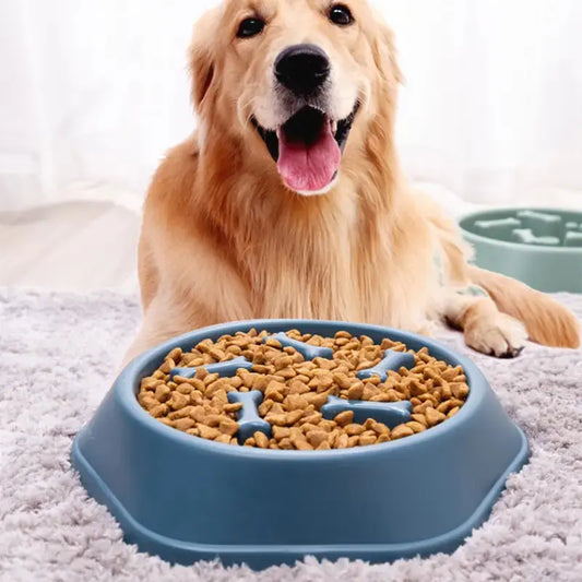 Slow Feeder Pet Bowl My Store 2