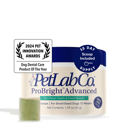 PetLab Co. ProBright Advanced Dental Powder - Dog Breath Freshener - Teeth Cleaning Made Easy – Targets Tartar & Bad Breath - Formulated for Small Dogs