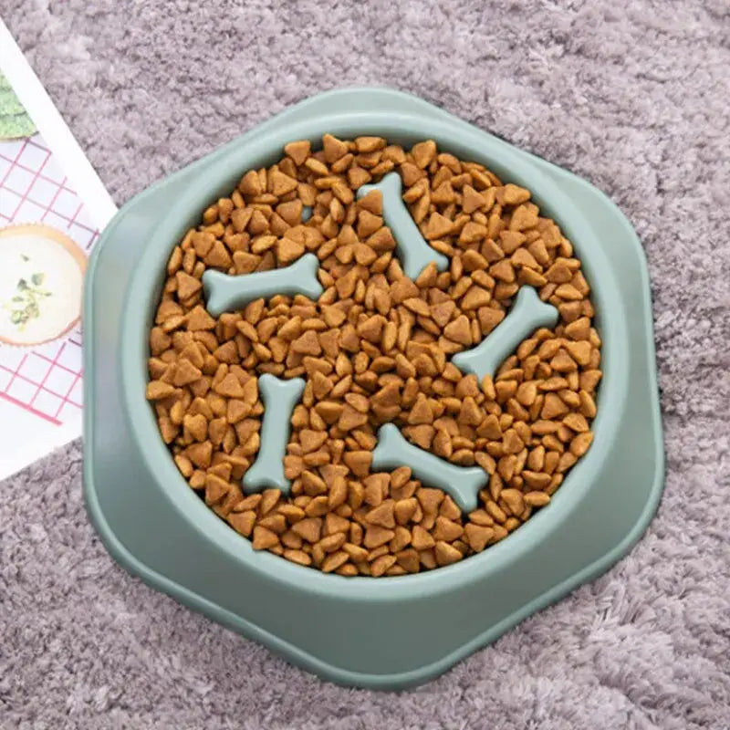 Slow Feeder Pet Bowl My Store 2
